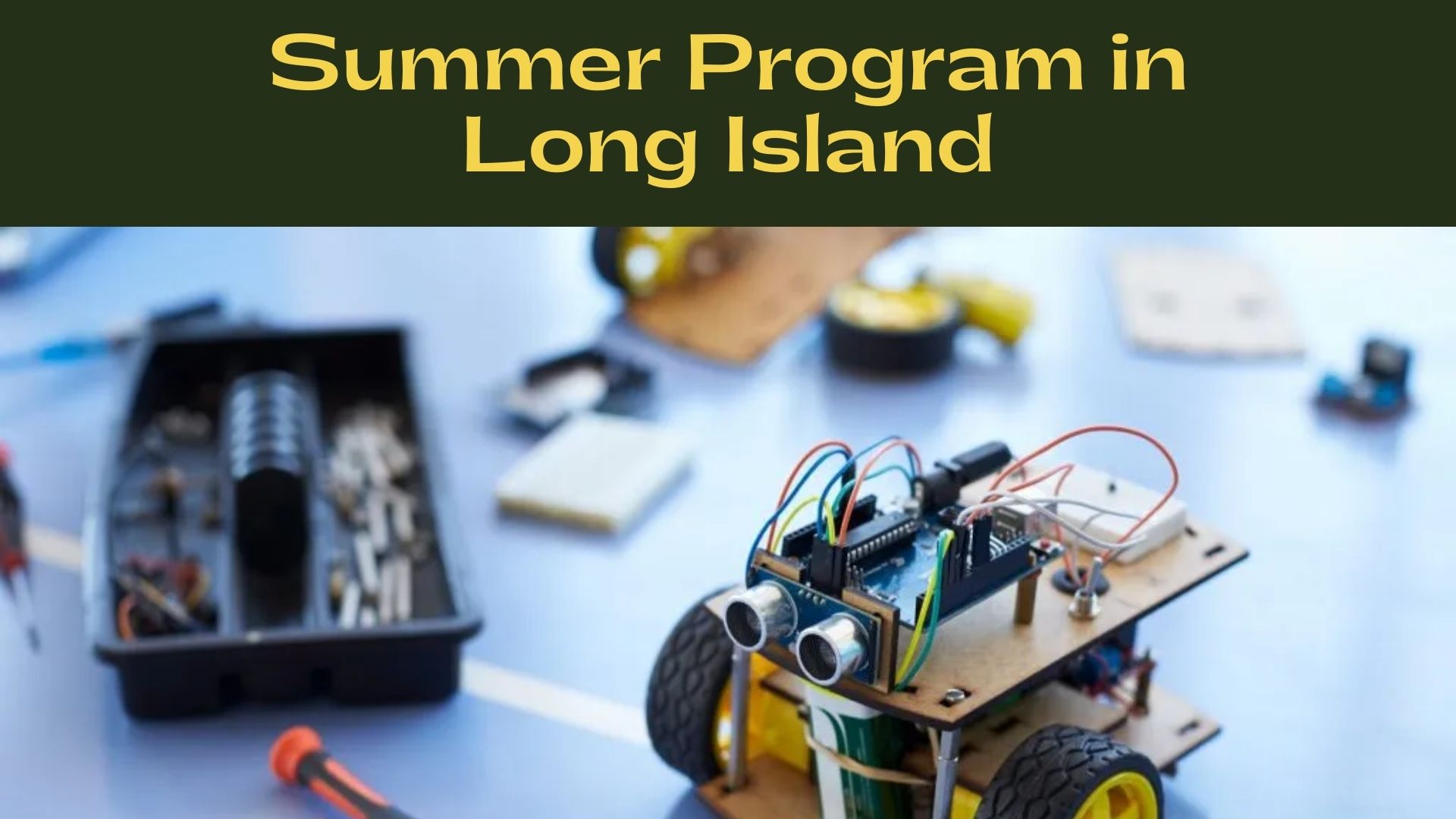 Summer Program in Long Island