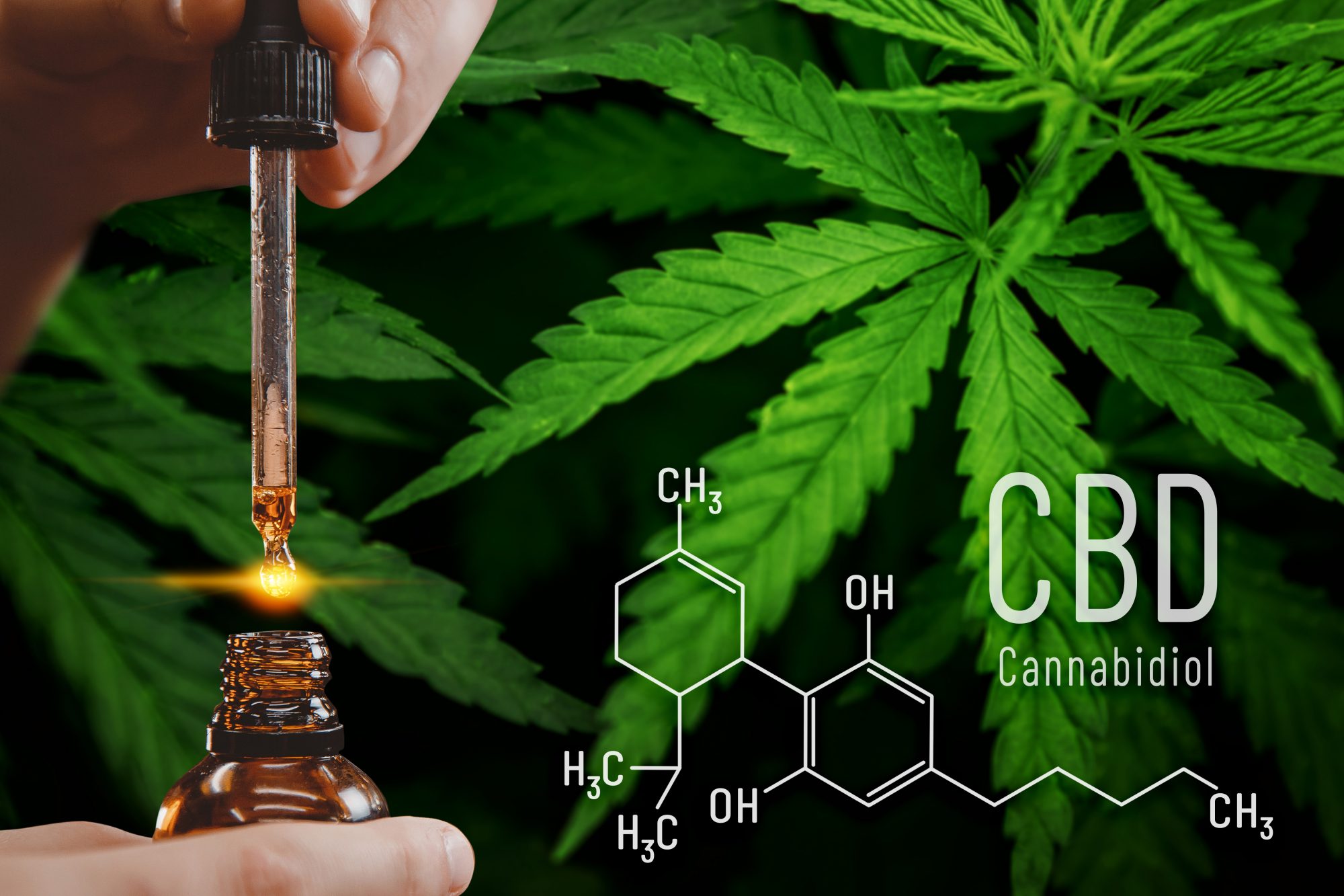 Cannabidiol