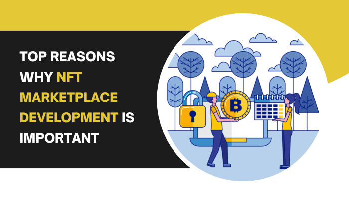 Top Reasons Why NFT Marketplace Development Is Important